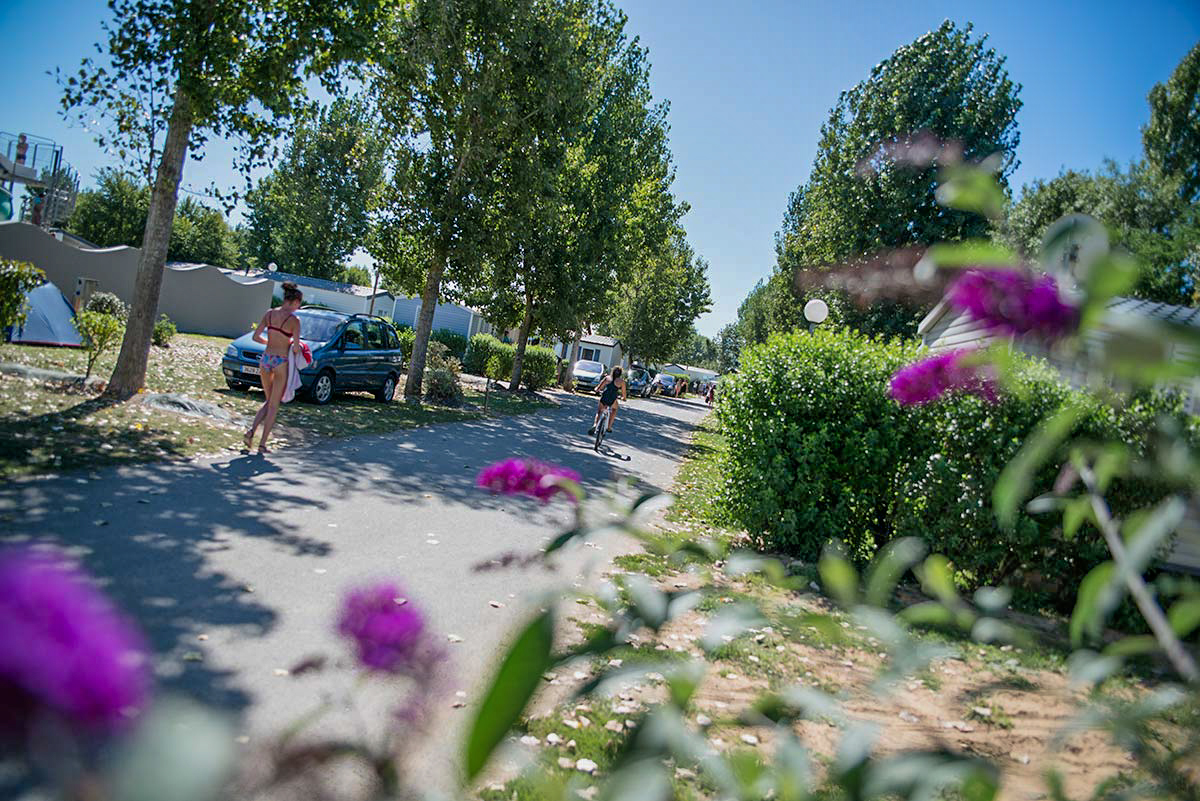 camping La Tranche sur Mer familal