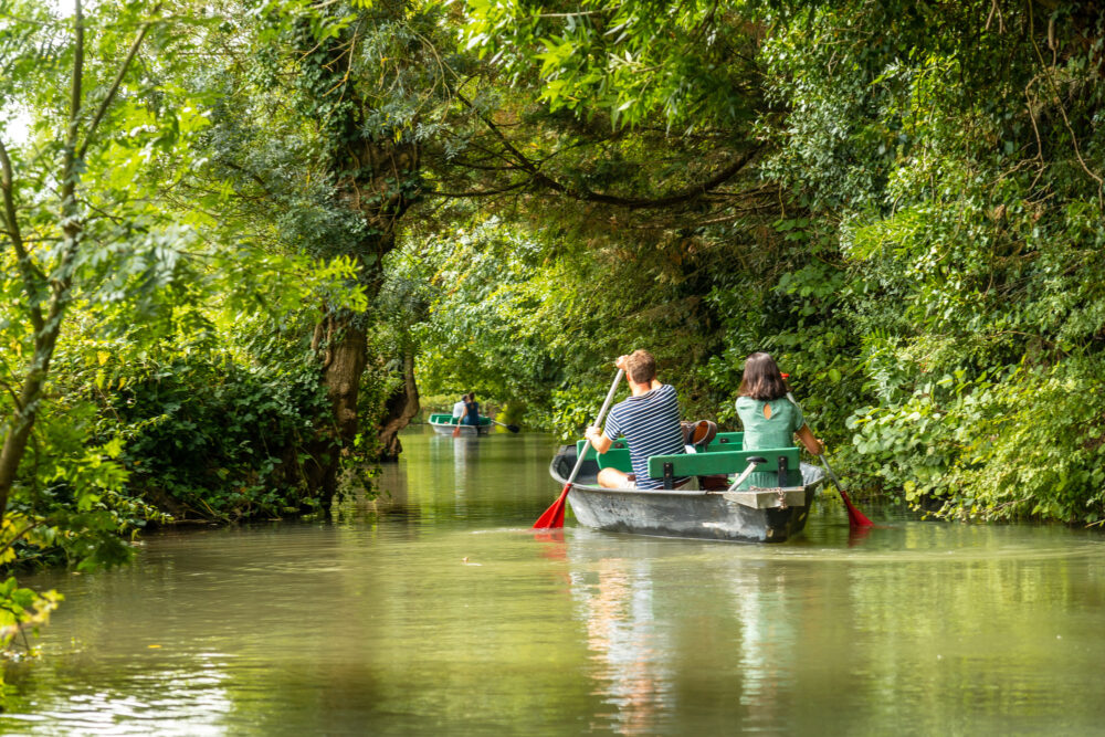 marais poitevin bateau