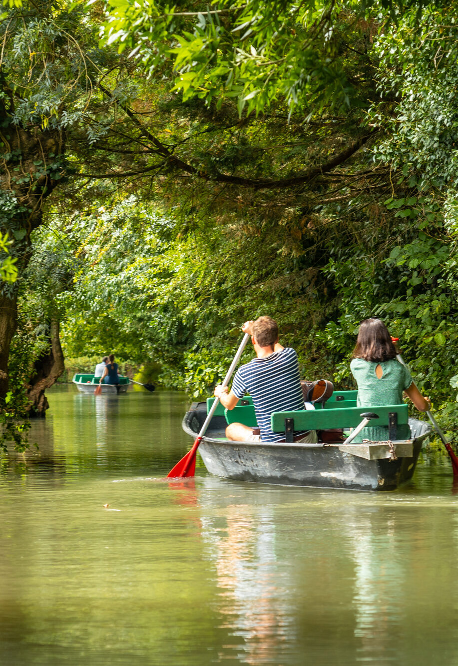 marais poitevin bateau
