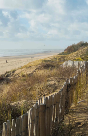 Plage, La Tranche